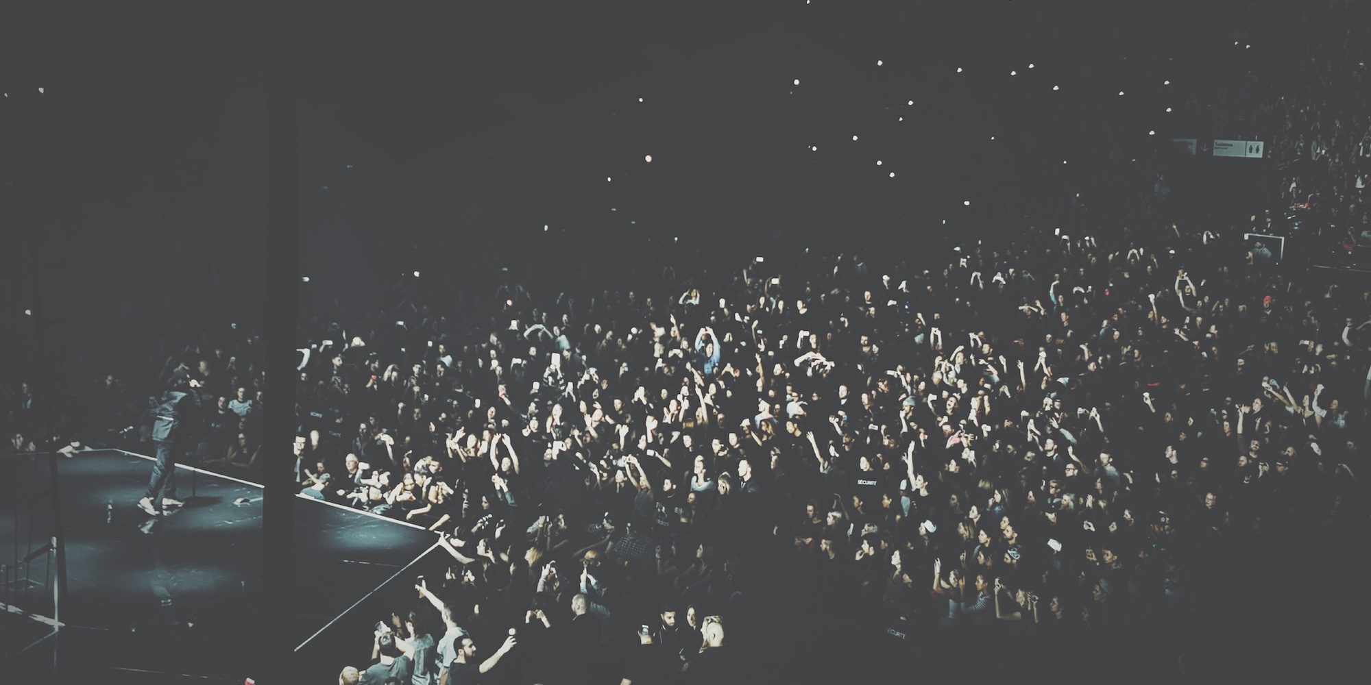 concert audience
